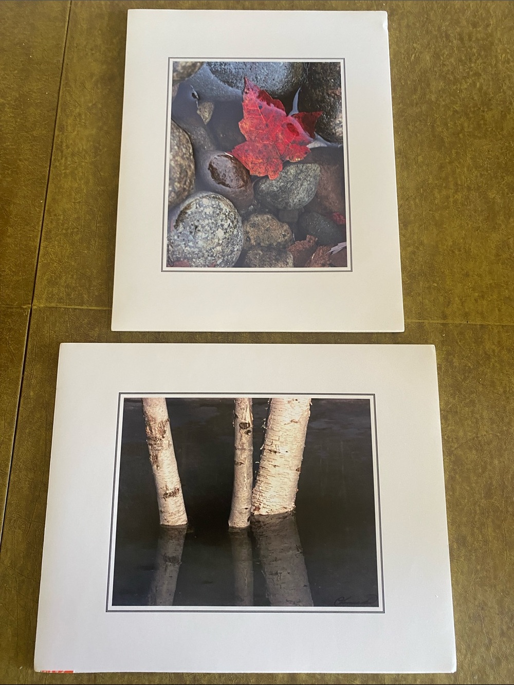 Red Maple Leaf and Birch Trunk Photography Set - Nature Wall Art